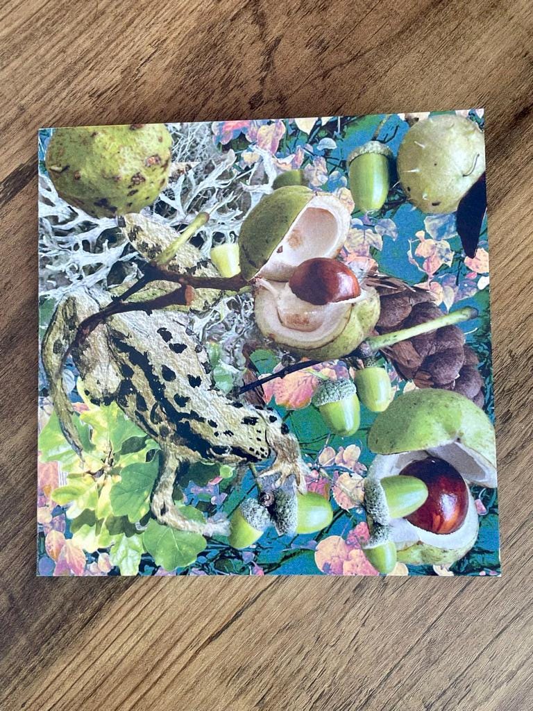 'September's Harvest', Square Greetings Card