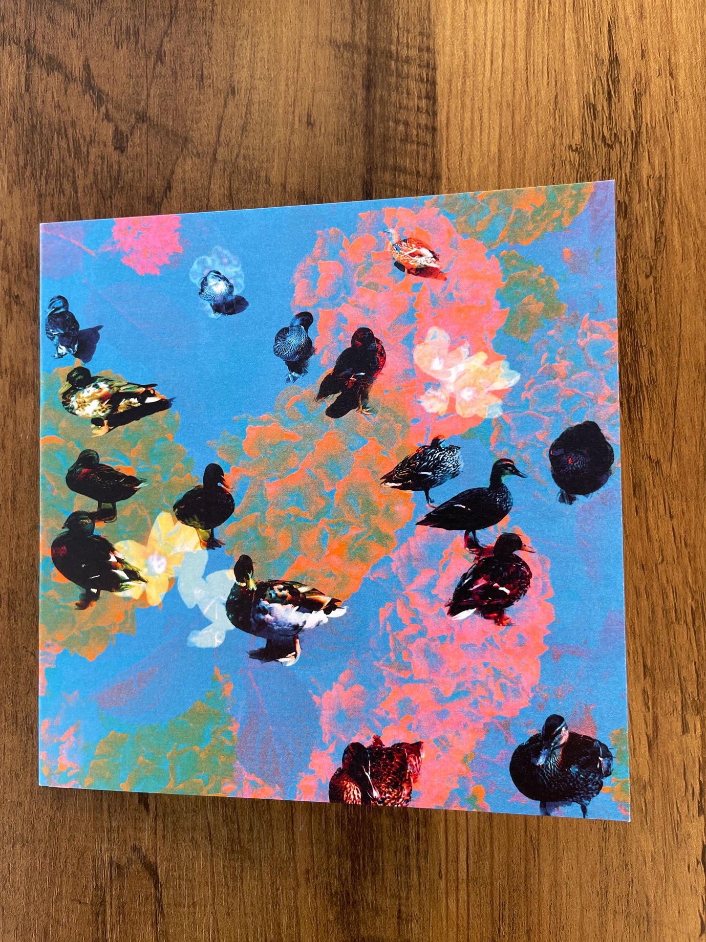 'Ducks in the Park', Square Greetings Card