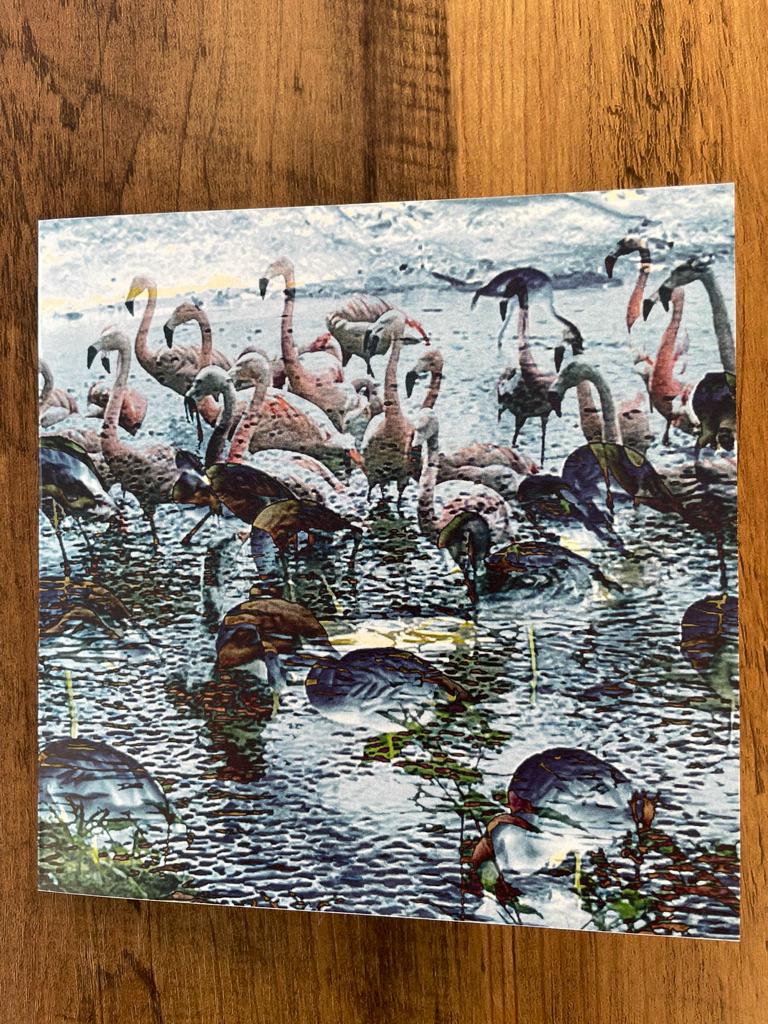 'Flamingos in the Moonlight', Square Greetings Card