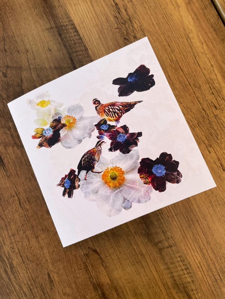 'Two Little Partridges', Square Greetings Card