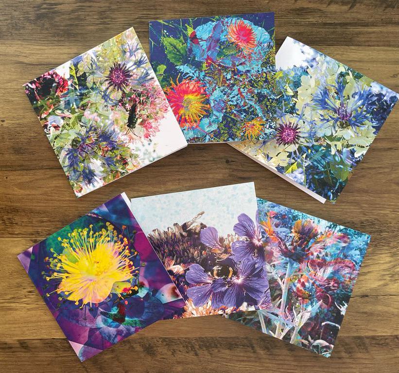 'Flower of Scotland', Square Greetings Card