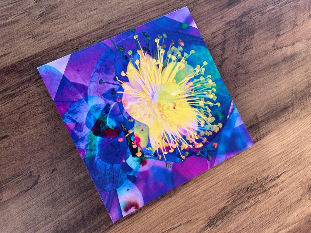 'Mandarin Scent', Square Greetings Card