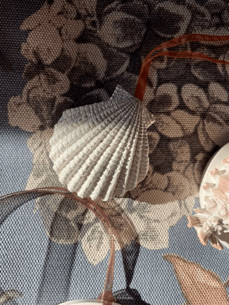 Scallop Shell Safekeep — Coastal Cast Wall Hanging - Wall Hanging - Eclectic Blue Studio