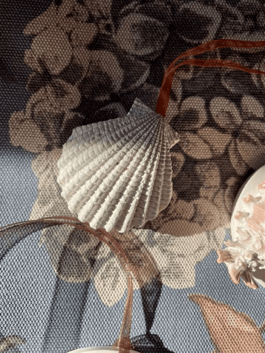 Scallop Shell Safekeep — Coastal Cast Wall Hanging - Wall Hanging - Eclectic Blue Studio