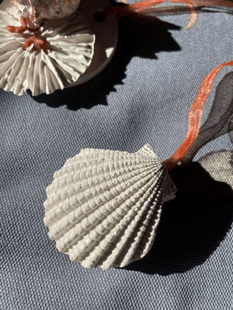 Scallop Shell Safekeep — Coastal Cast Wall Hanging - Wall Hanging - Eclectic Blue Studio